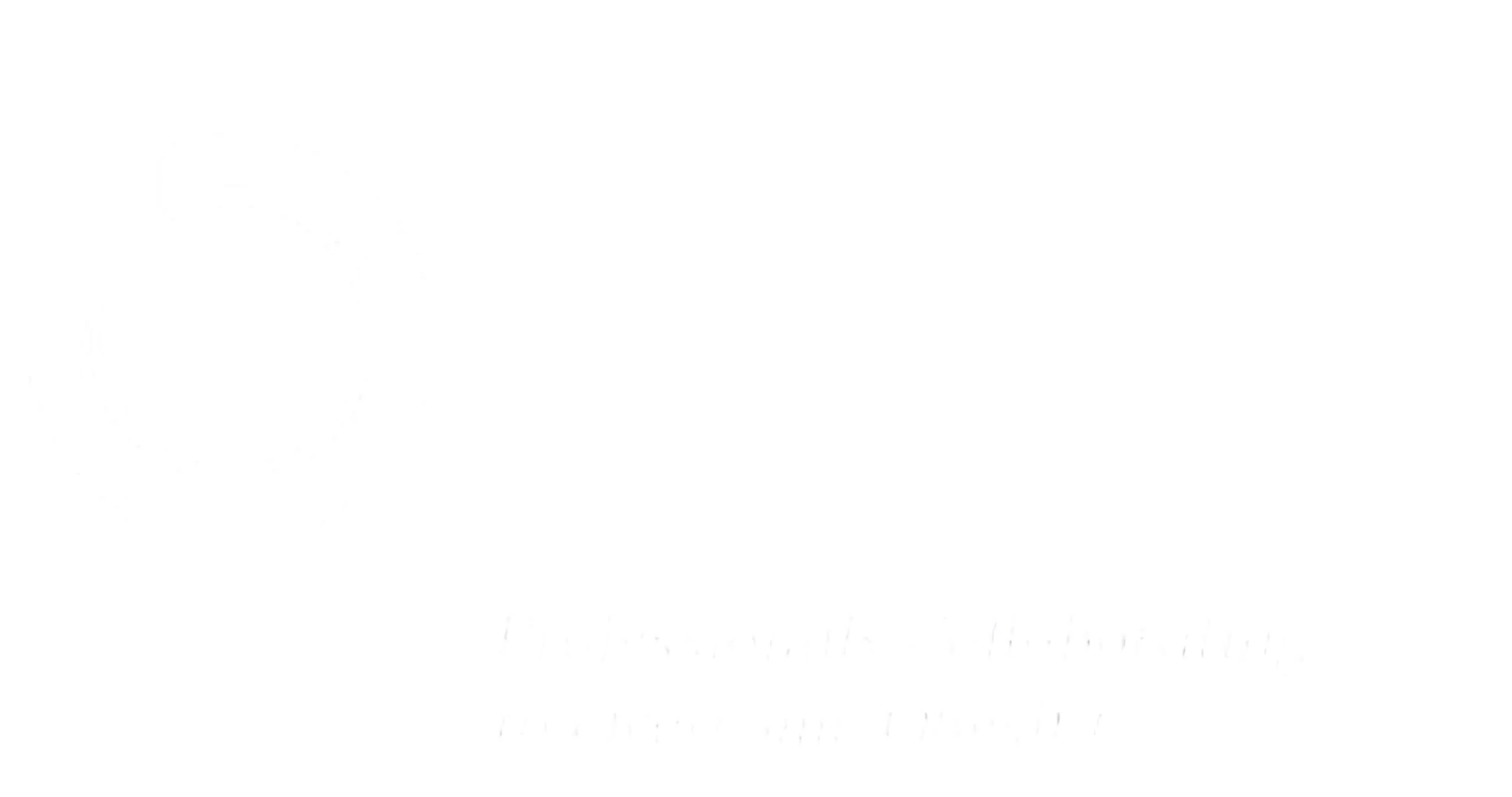 The-obesity-society
